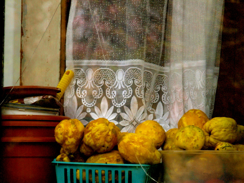 photo-025-10102010-mr