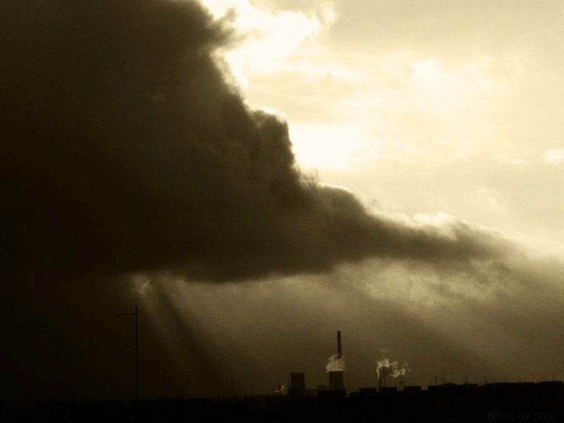 33777_154722621230691_100000788632571_242233_6151855_n