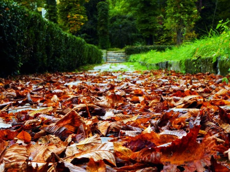 37179_154722467897373_100000788632571_242229_3420718_n