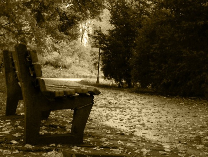 37914_154721467897473_100000788632571_242205_3530453_n