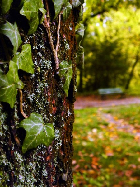 65728_154722237897396_100000788632571_242222_4046110_n