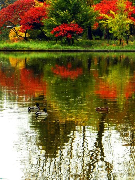 66575_154722027897417_100000788632571_242216_4039948_n