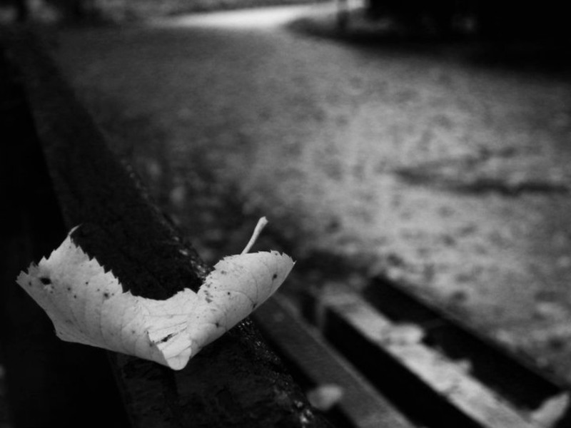 67218_154721667897453_100000788632571_242209_1365102_n