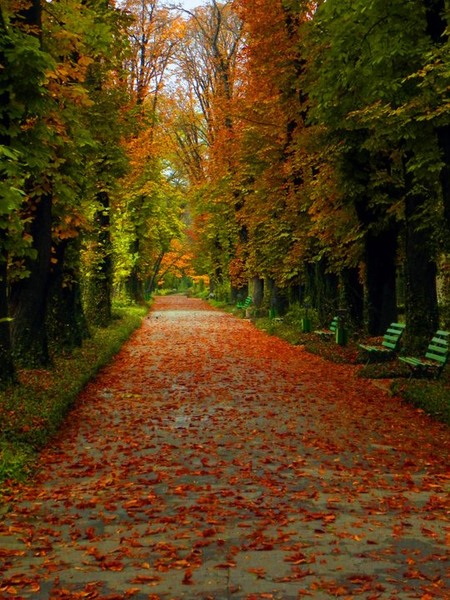 71623_154722561230697_100000788632571_242231_6593713_n