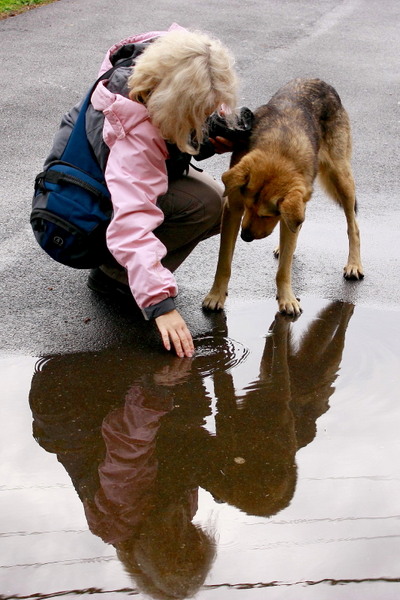 stai-sa-inteleg-cum-e-cu-undele-astea_1