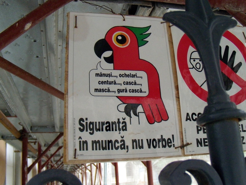 la-papagal-pe-calea-victoriei