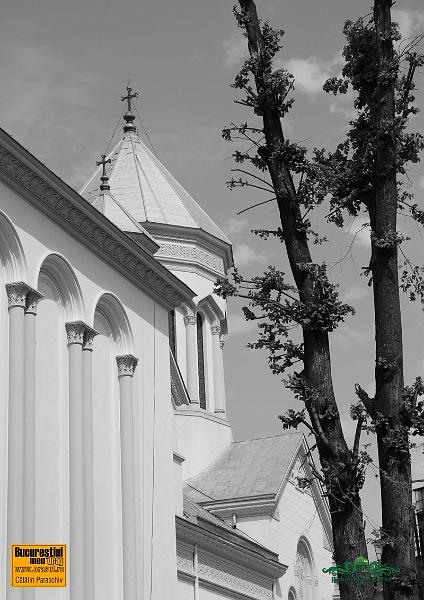 catalin-paraschiv_ff