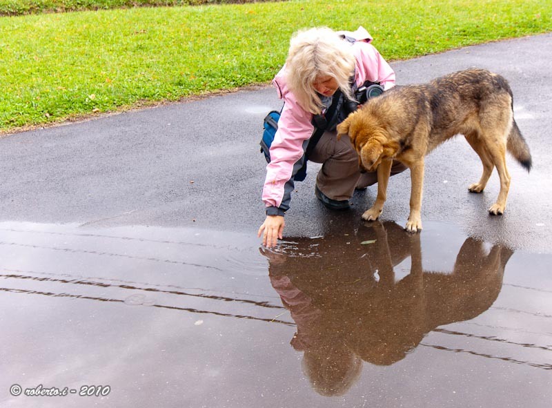 biserici_fortificate_bv_robertoi_p13