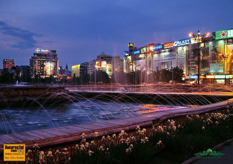 alexandru-dinu-serban_ff_02