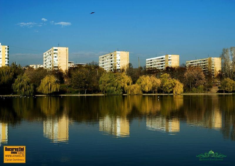 cirpian-dumitrescu_ff