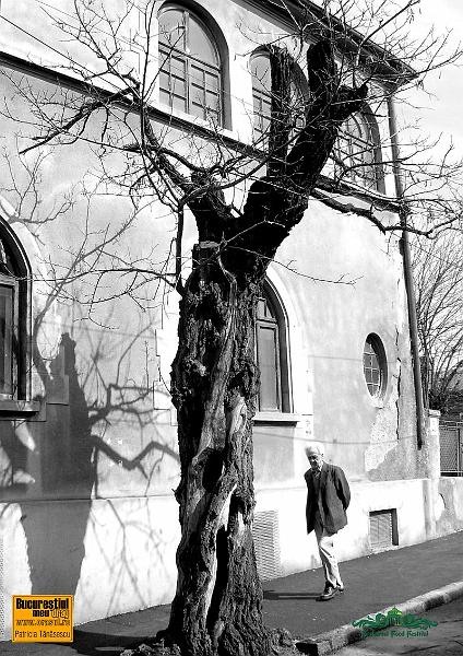 patricia-tanasescu_ff