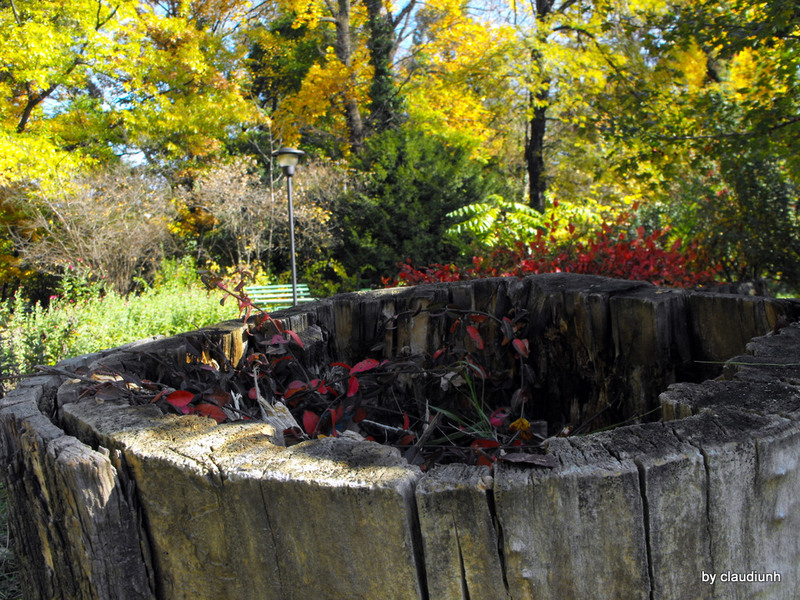 Orice sfarsit e un nou inceput