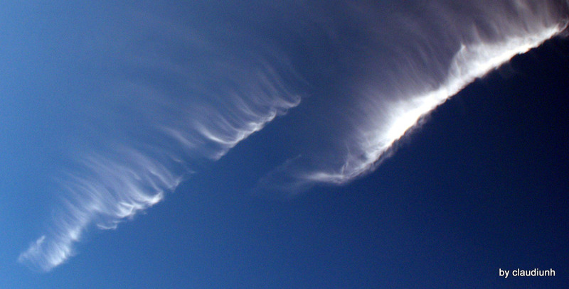 Hotar catre taramul zanelor