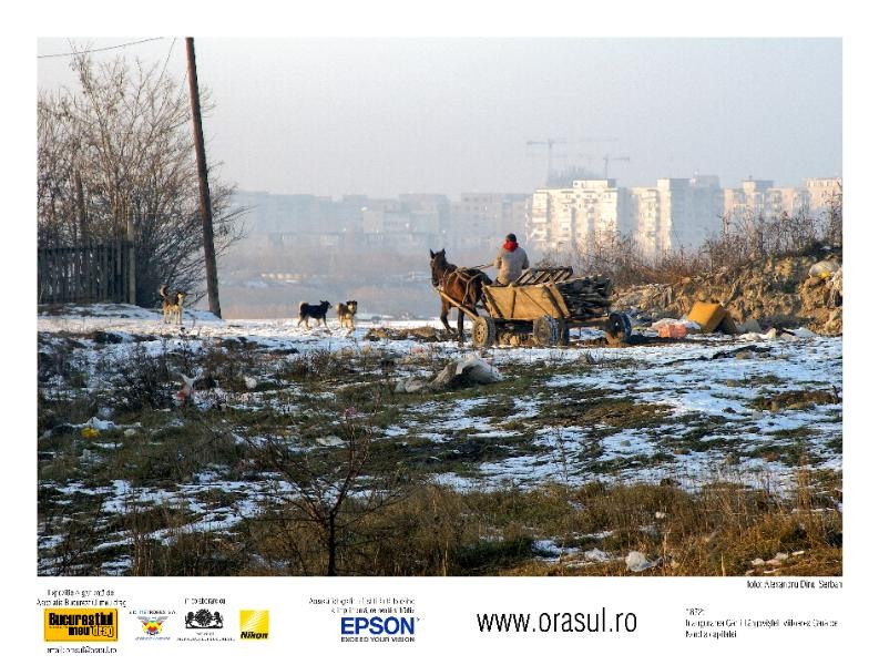 alexandru-dinu-serban