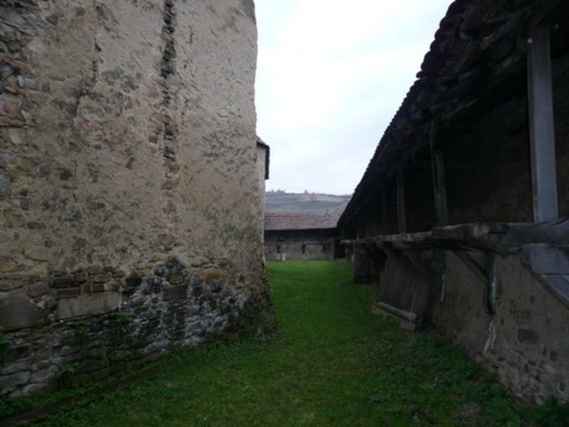 toamna-iarna-2007-260