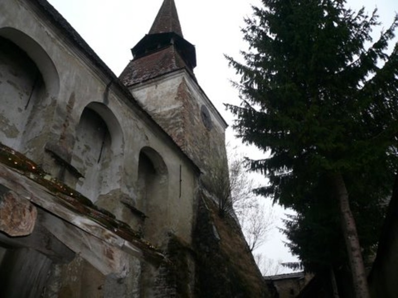 toamna-iarna-2007-274