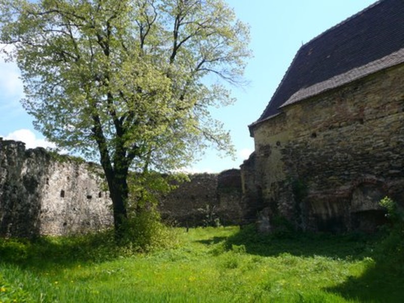 toamna-iarna-2007-626