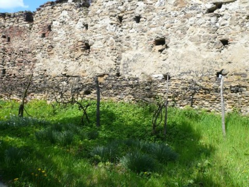 toamna-iarna-2007-628