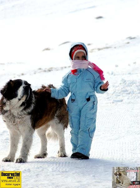 adrian-agapie_inocentza