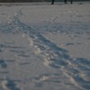 20090110_alexpas_22