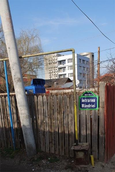 20090207_sorinangh-7