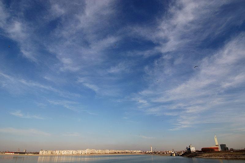 20090207_sorinangh-8