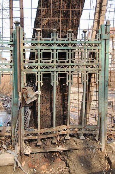 20090221-sorinangh-06