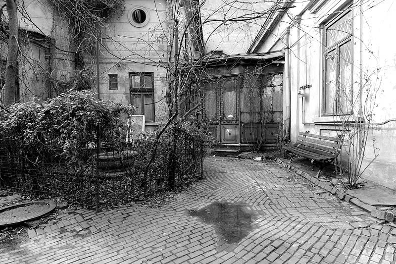 20090221-sorinangh-10