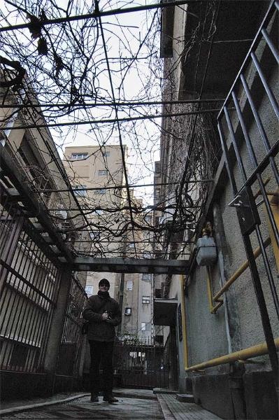 20090221-sorinangh-12