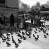 20090430_lorena_31