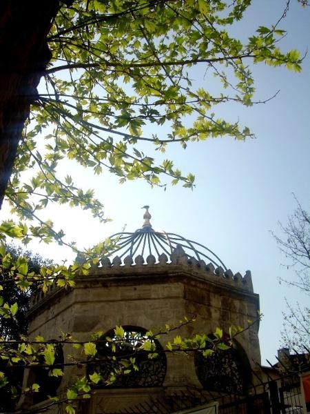 20090430_patricia_03