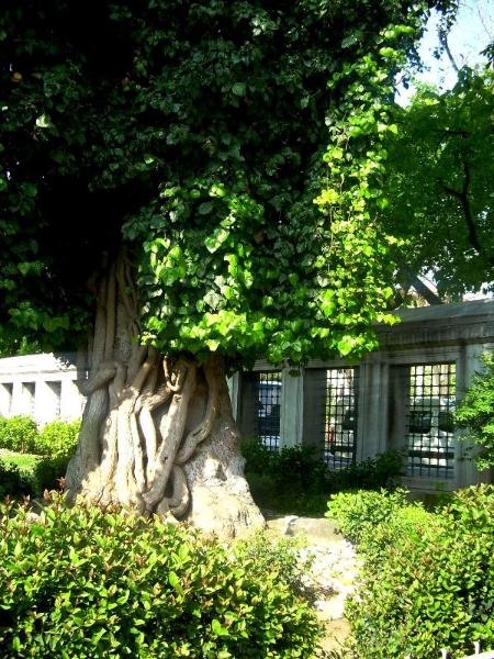 20090430_patricia_06