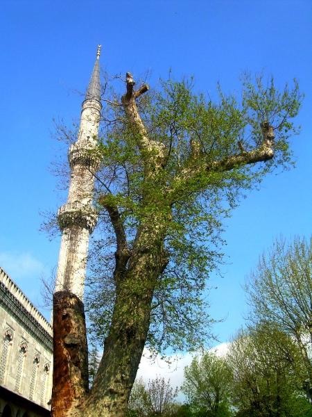 20090430_patricia_08