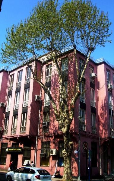 20090430_patricia_10