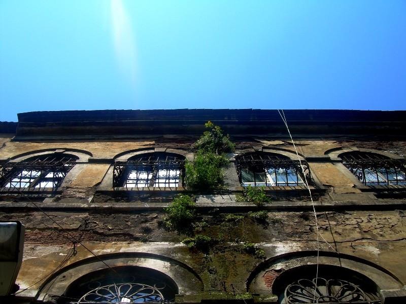 20090430_patricia_14