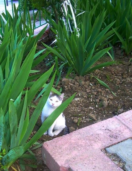 20090430_patricia_15