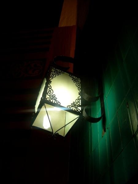 20090430_patricia_17