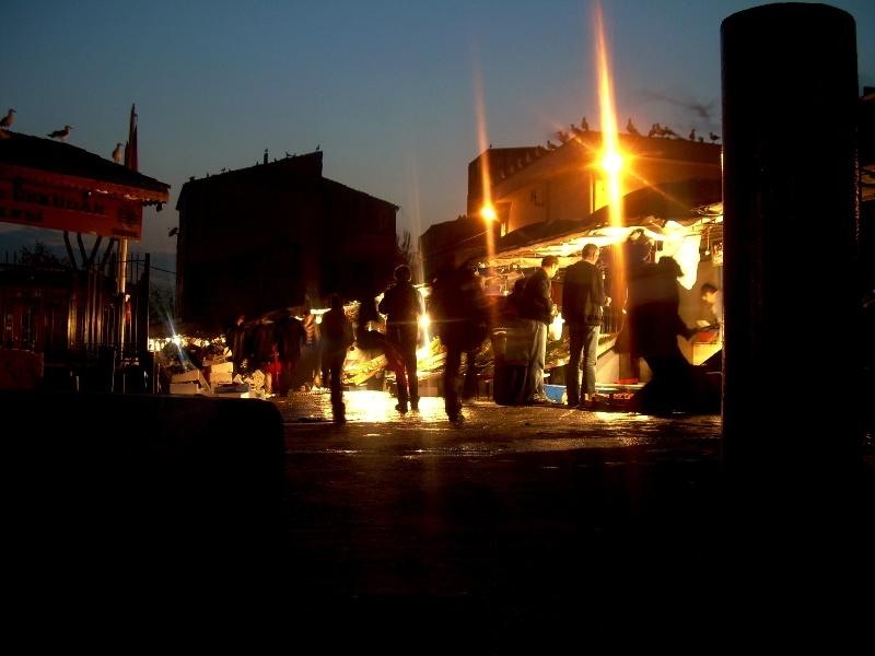 20090430_patricia_20