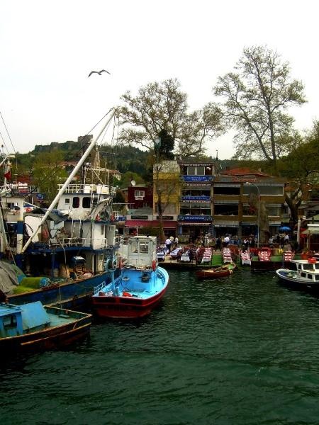 20090430_patricia_21