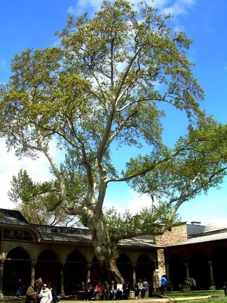 20090430_patricia_23