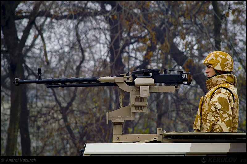 andrei_vocurek_1_decembrie_2009_12