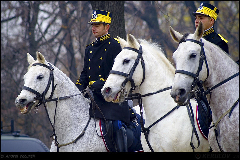 andrei_vocurek_1_decembrie_2009_16