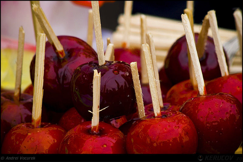 andrei_vocurek_1_decembrie_2009_17