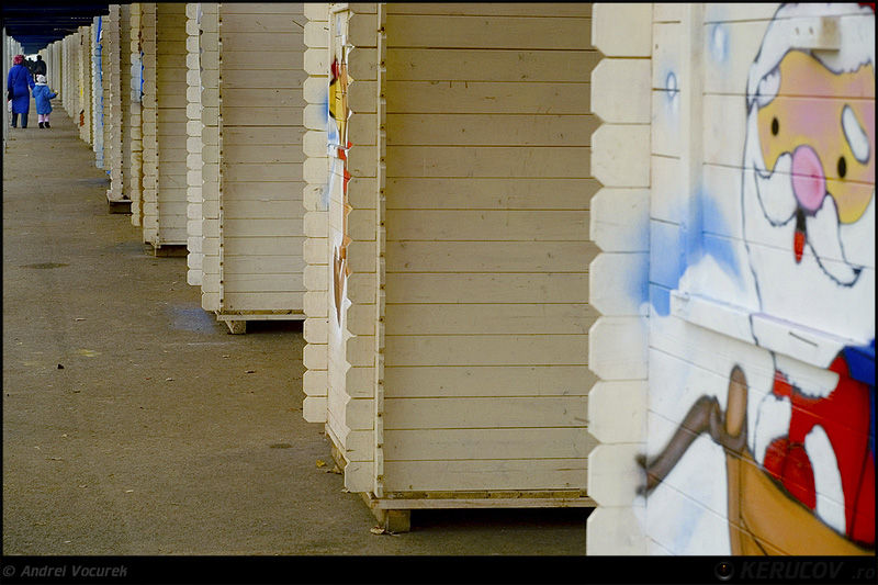 andrei_vocurek_1_decembrie_2009_24