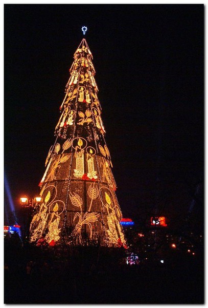 alexandru-dinu-serban_11