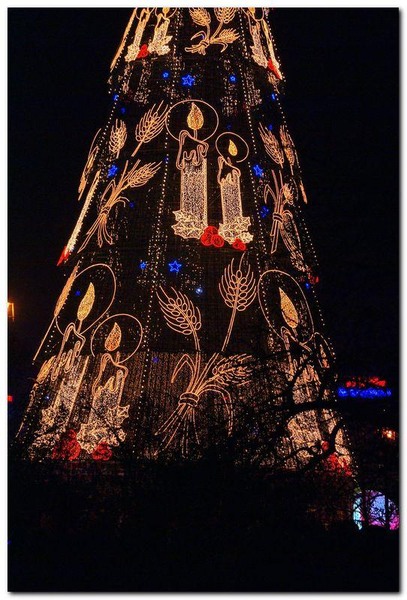 alexandru-dinu-serban_12