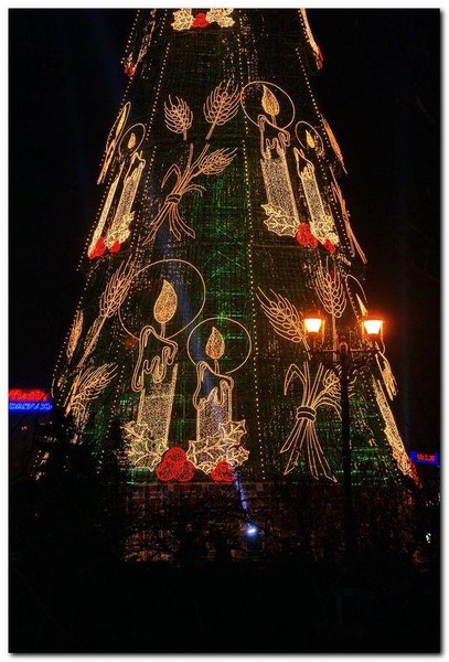 alexandru-dinu-serban_15