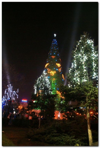 alexandru-dinu-serban_16