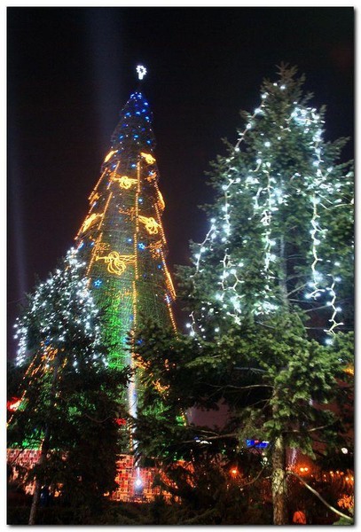 alexandru-dinu-serban_17