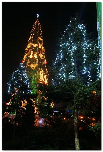 alexandru-dinu-serban_18